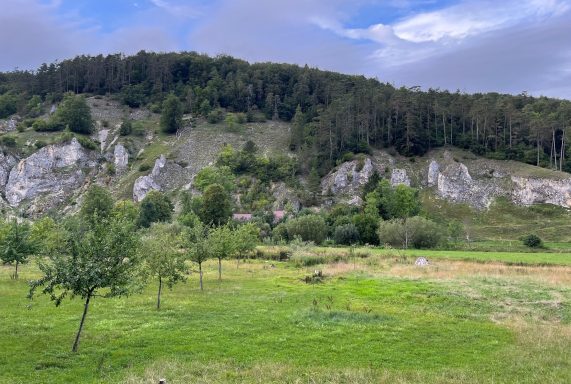 Morgenstimmung mit aufgehender Sonne und etwas Nebel
