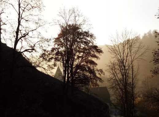 Morgenstimmung mit aufgehender Sonne und etwas Nebel